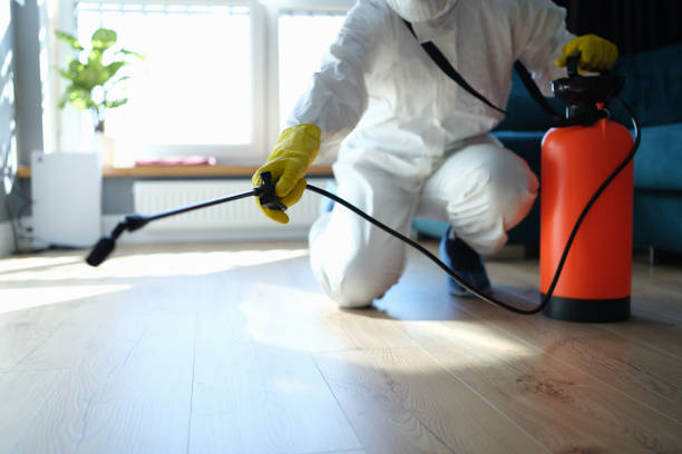 Reliable Odor Removal contractor in Marlborough, MO by Trauma Clean Pros